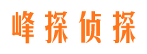 扶沟市私家侦探